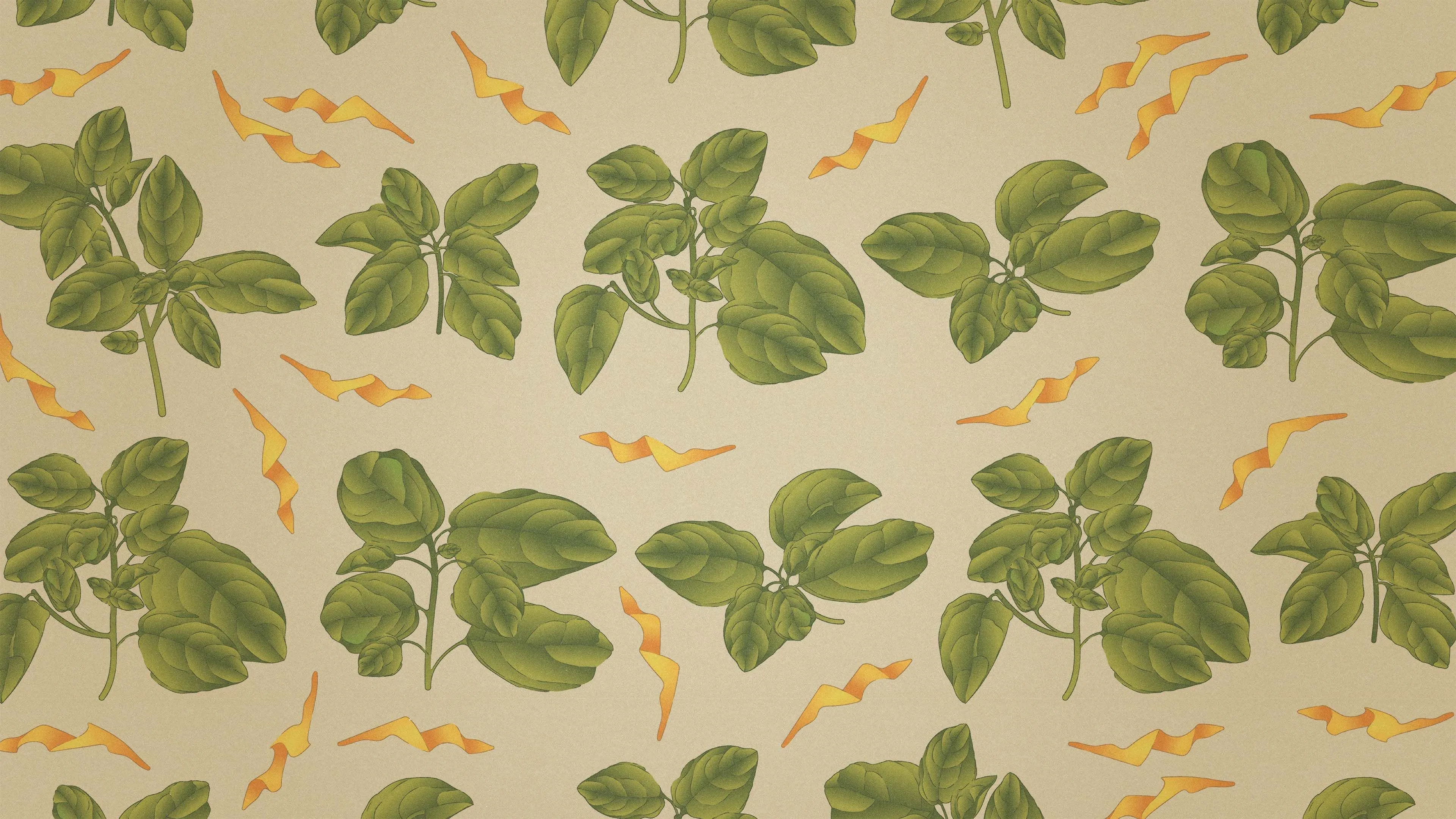 Jessica Rather Portfolio - 2025